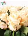 Cream Roses Bouquet