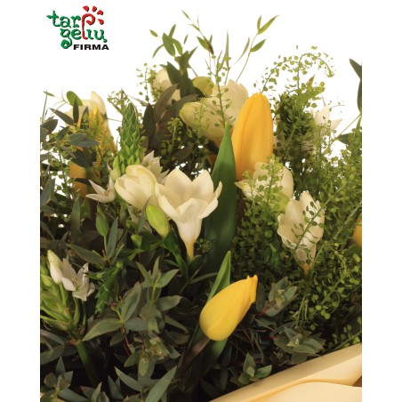 Boquet of tulips and freesia